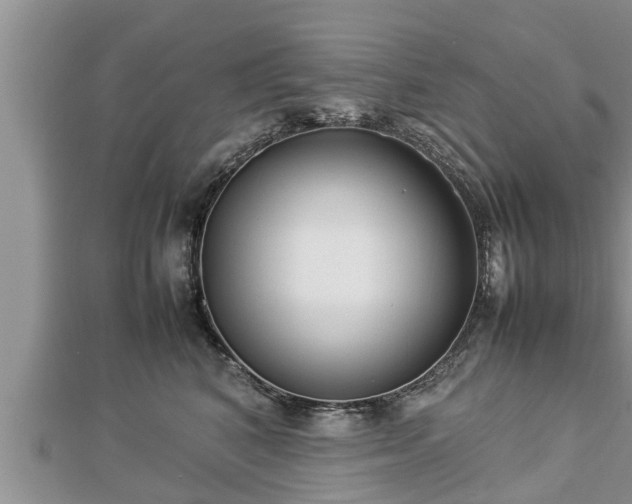 X0000112790616200908281508