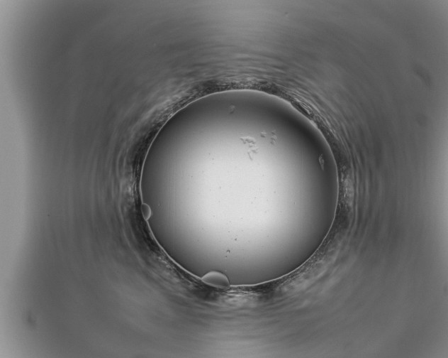 X0000112790617200908281508