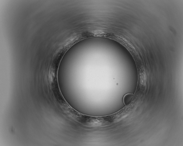 X0000112790618200908281508