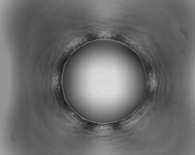 X0000112790619200908281508