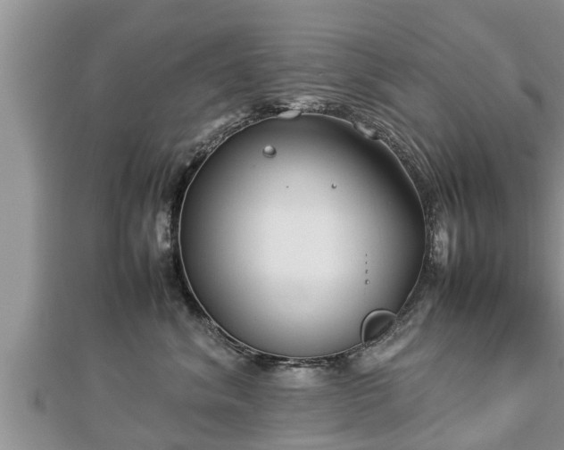 X0000112790620200908281508