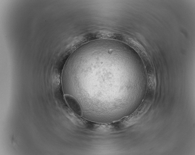 X0000112790621200908281508