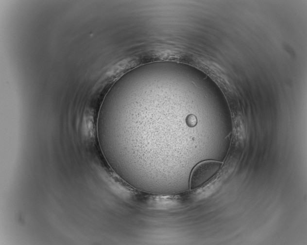 X0000112790622200908281508