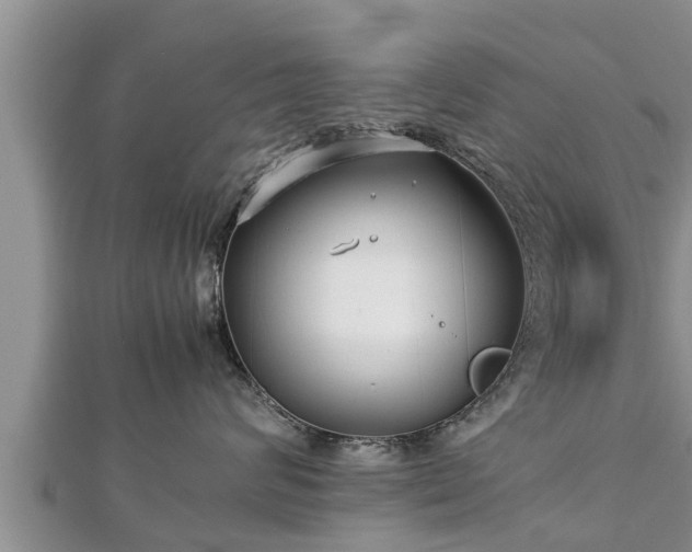 X0000112790624200908281508