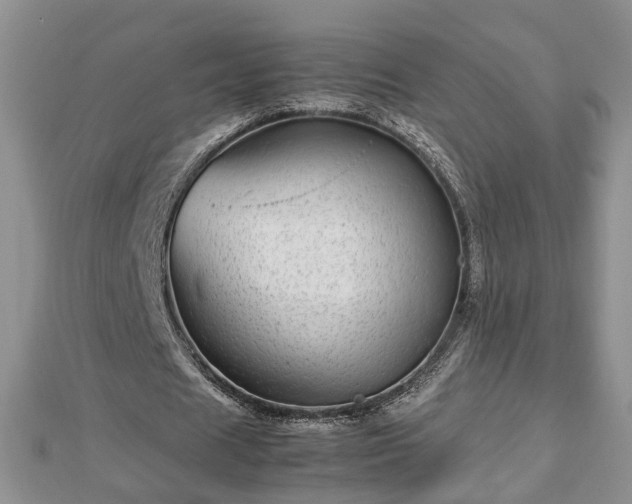 X0000112790625200908281507