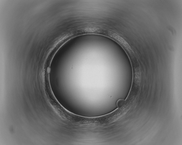 X0000112790626200908281507