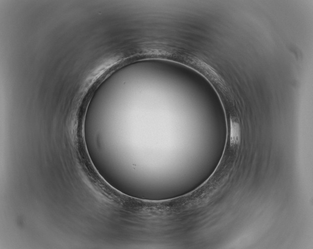 X0000112790627200908281507