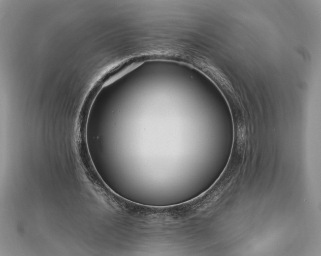 X0000112790628200908281507