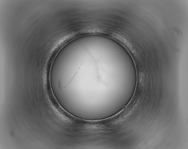 X0000112790629200908281507