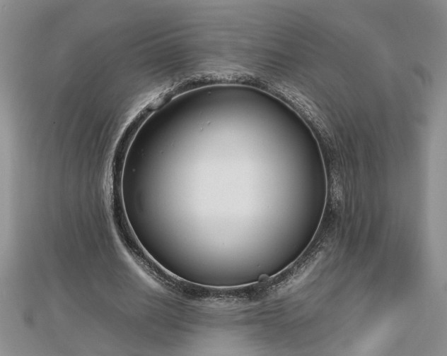 X0000112790630200908281507