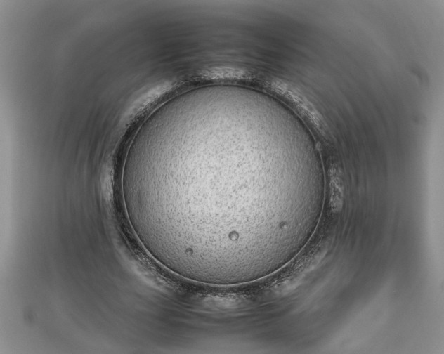 X0000112790631200908281507