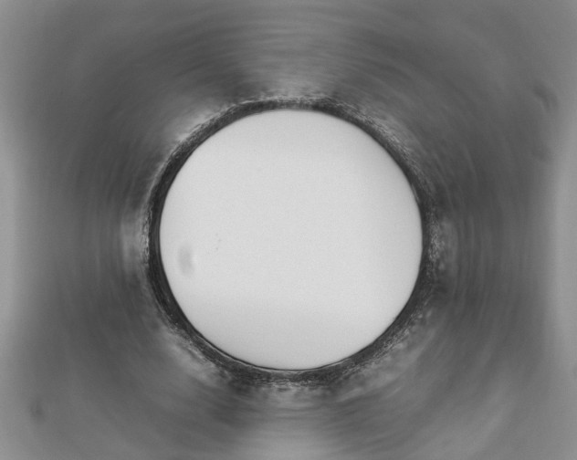 X0000112790632200908281507