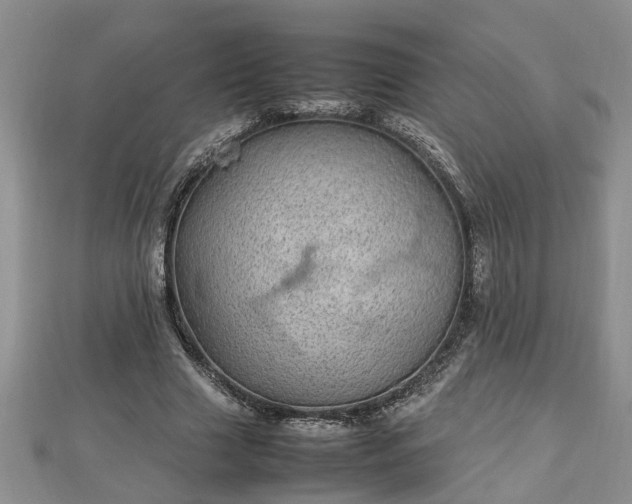 X0000112790633200908281507