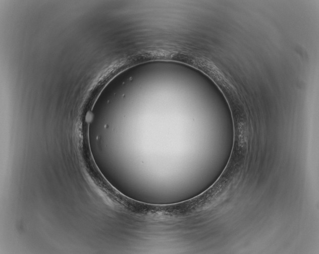 X0000112790634200908281507