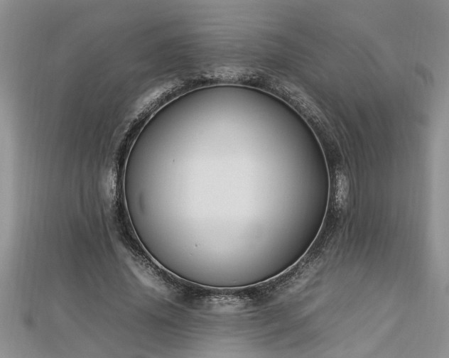 X0000112790636200908281507