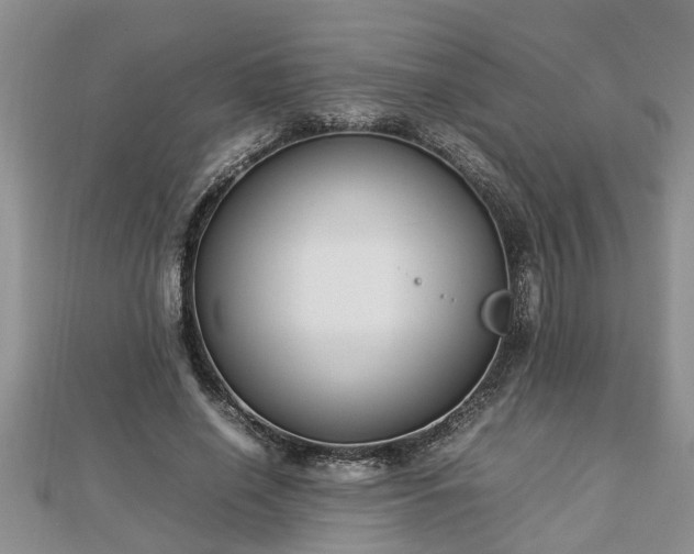 X0000112790638200908281507