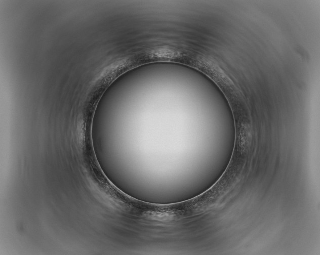 X0000112790639200908281507