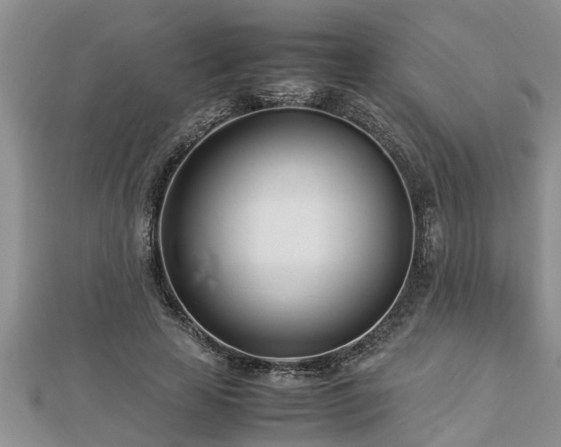 X0000112790641200908281507