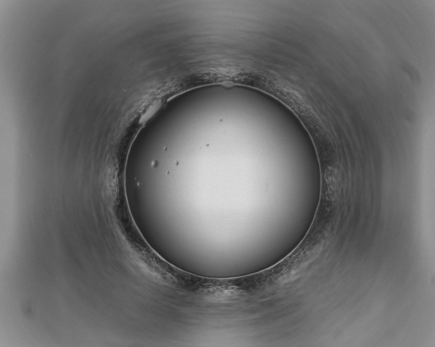 X0000112790642200908281507