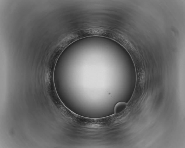 X0000112790643200908281507