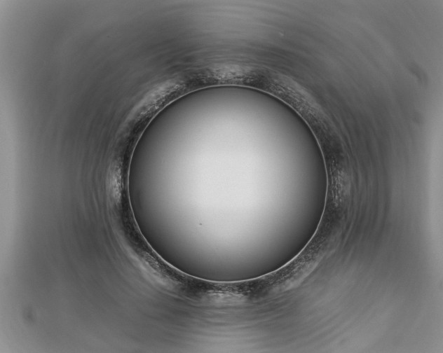 X0000112790644200908281507