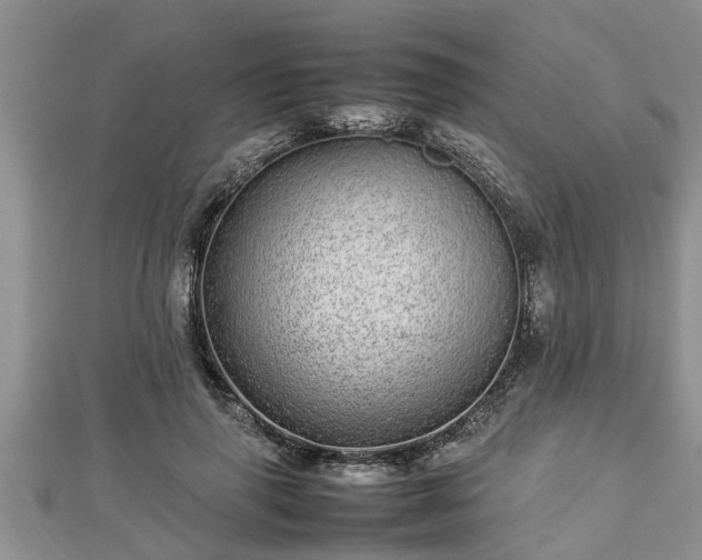 X0000112790645200908281507