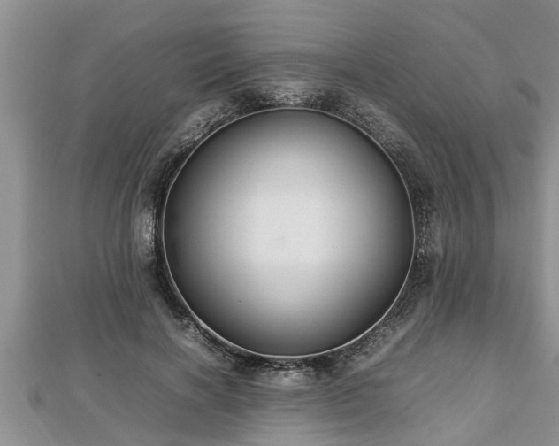 X0000112790646200908281507