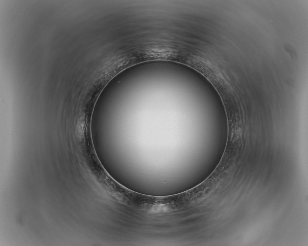 X0000112790647200908281507