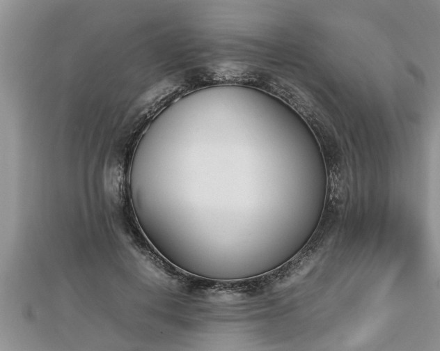 X0000112790648200908281507