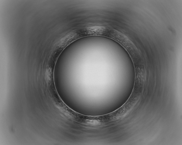 X0000112790649200908281507