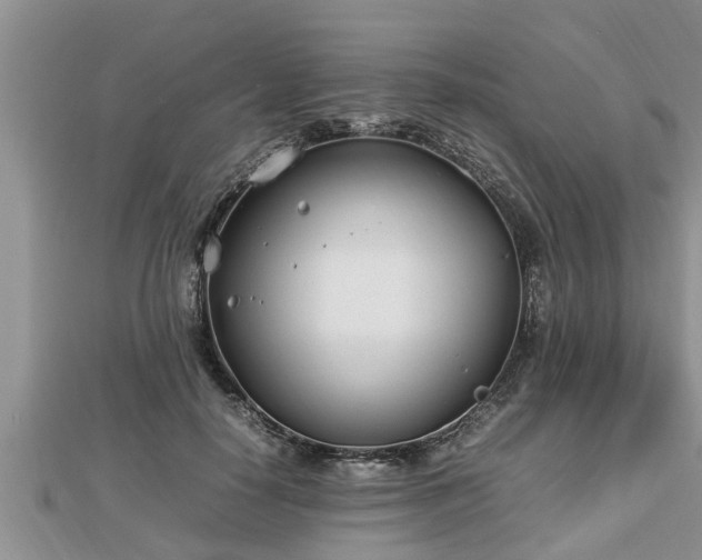 X0000112790650200908281507