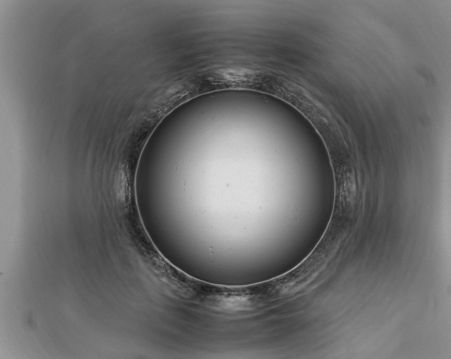 X0000112790651200908281507