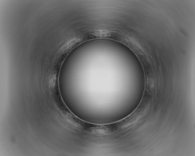 X0000112790652200908281507