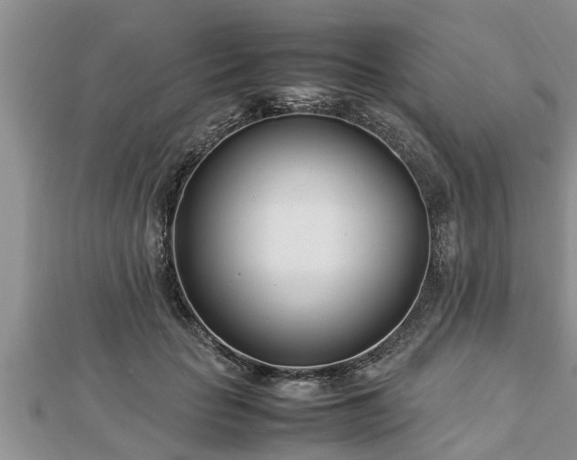 X0000112790653200908281507