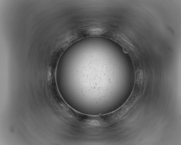 X0000112790655200908281507