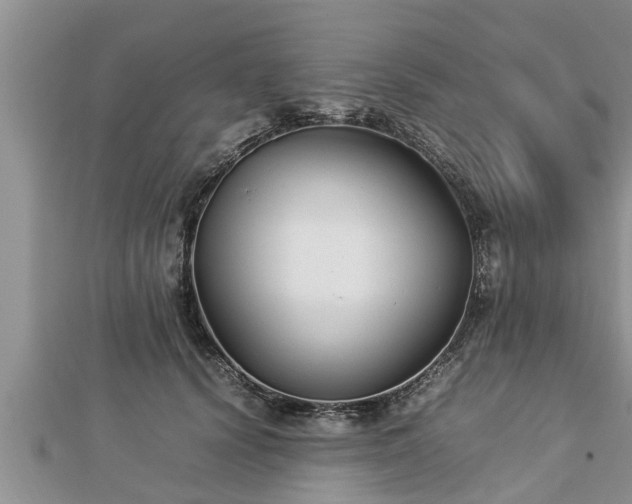 X0000112790656200908281508