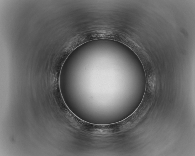 X0000112790657200908281508