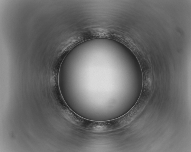 X0000112790658200908281508