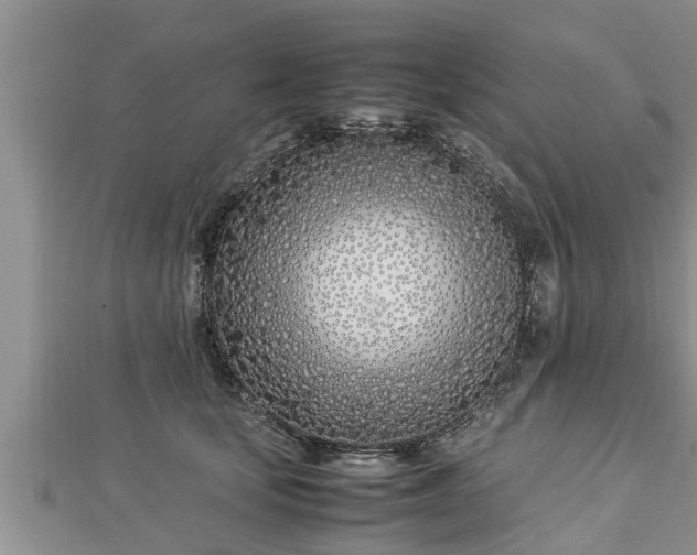 X0000112790659200908281508