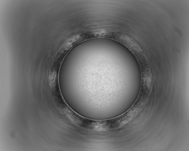 X0000112790660200908281508