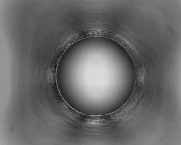 X0000112790661200908281508