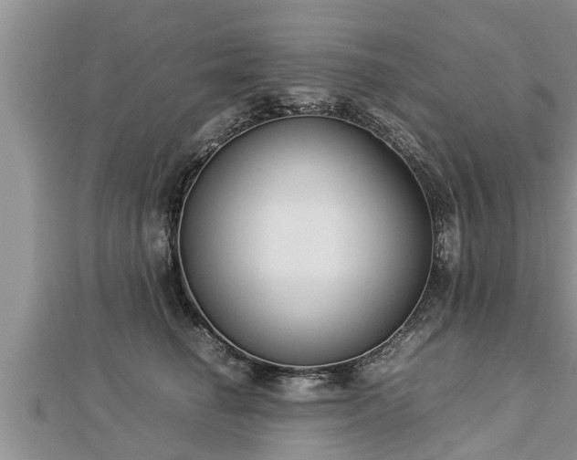 X0000112790662200908281508