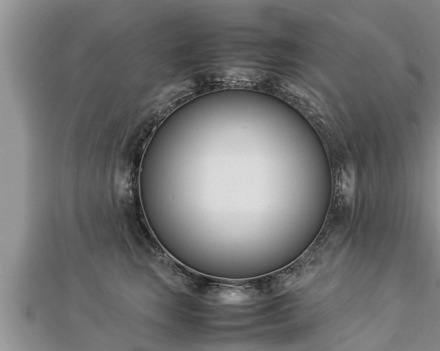 X0000112790663200908281508