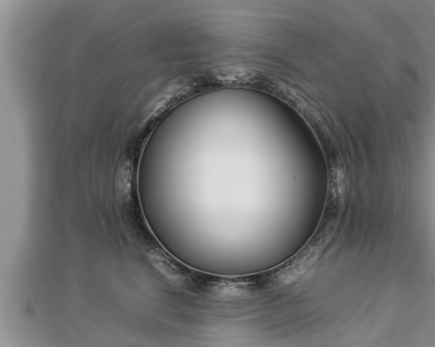 X0000112790664200908281508