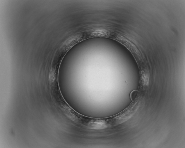 X0000112790665200908281508