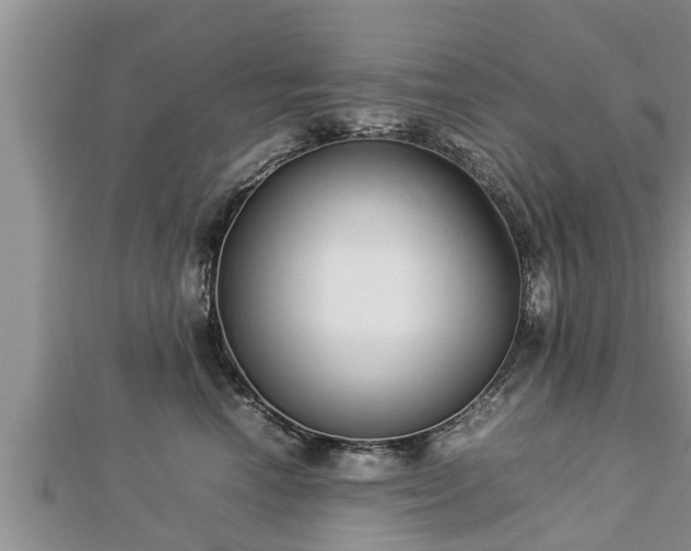 X0000112790666200908281508