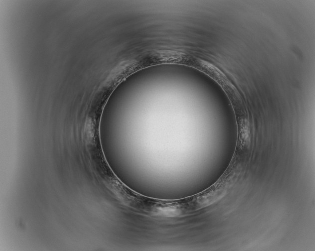 X0000112790667200908281508