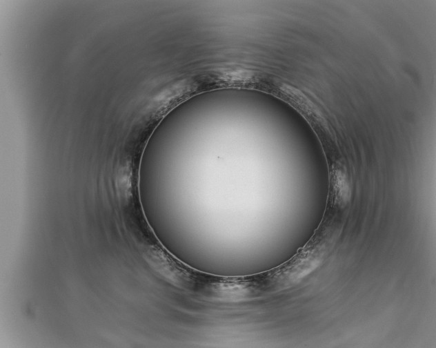 X0000112790668200908281508