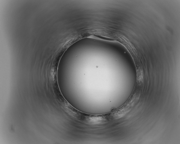 X0000112790669200908281508