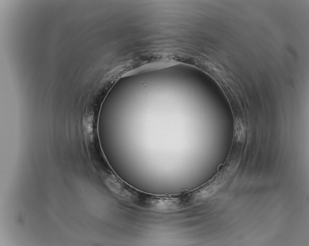 X0000112790670200908281508